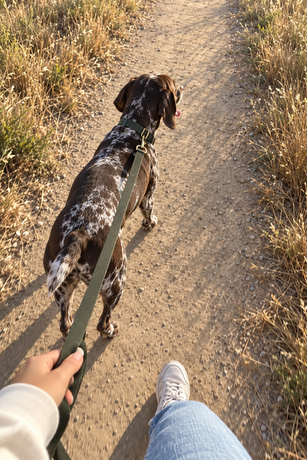 Morning walk on a dirt path